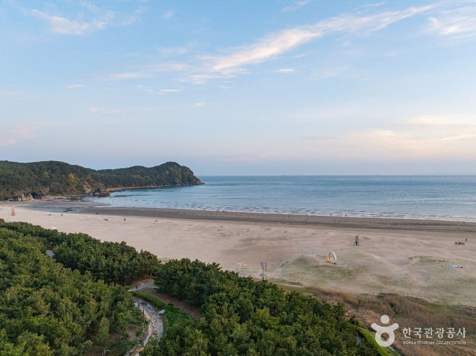 Dadaepo Beach Summer Festival 2026 (다대포 해수욕장 여름 축제)